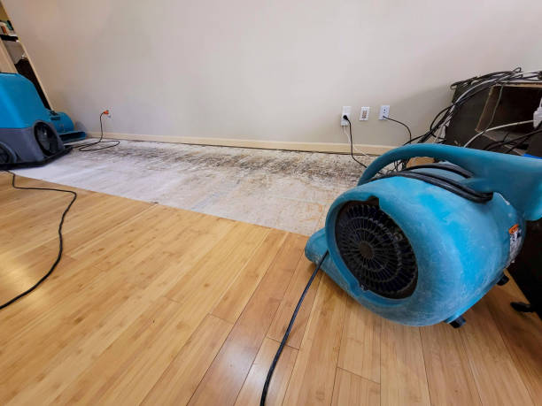 Professional Flood Damage Cleanup technician working in Maysville, KY